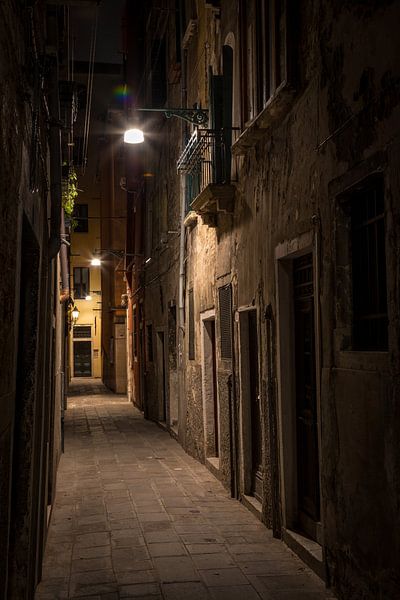 Hintergasse von Albert Mendelewski