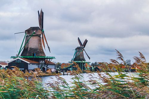 Ambiance joyeuse à Zaanse Schans
