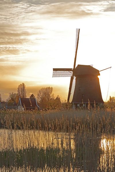 Mühle im Gegenlicht in der Hoornse Vaart in Alkmaar von Ronald Smits
