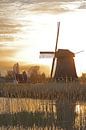 Moulin en contre-jour au Hoornse Vaart à Alkmaar par Ronald Smits Aperçu
