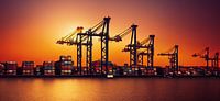 Container port with cranes at sunset Illustration by Animaflora PicsStock thumbnail
