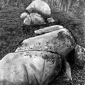 Hoogen Steener (herfst) van Dolm