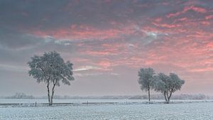 Coucher de soleil sur Sigrid Westerbaan