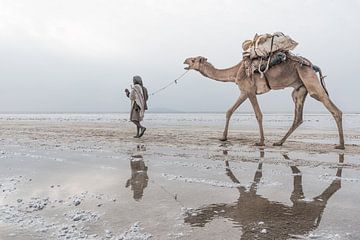 Kameel en man lopen door de woestijn | Ethiopië van Photolovers reisfotografie