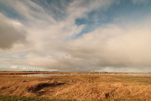 Unendliches flaches Land 1