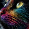 Kat in multikleur close-up panorama van TheXclusive Art