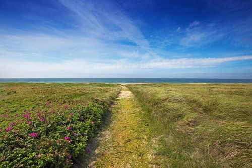 Coast