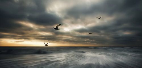 Coastal magic at dusk