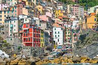 Riomaggiore, Cinque Terre, Italie par Richard van der Woude Aperçu