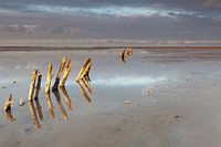 Poles apart