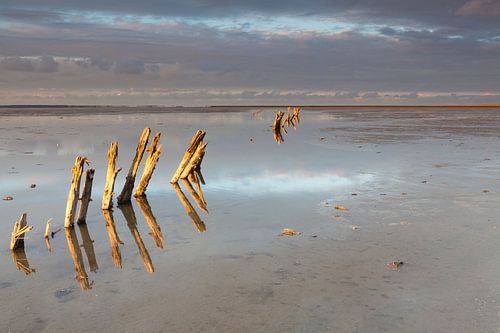 Licht op het wad van Ron Buist