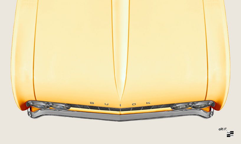 Buick Special '61 motorkap van aRi F. Huber
