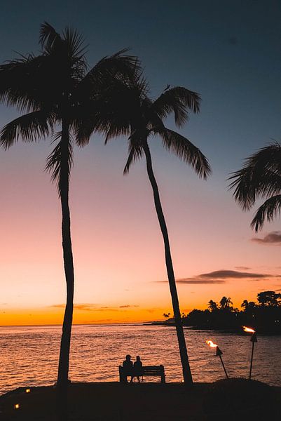 Hawaii by Hello Pompoyo
