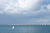Zeilboot bij de Zeelandbrug / Zeeland / Nederland van Photography art by Sacha thumbnail