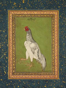 Vintage haan - Indisch vechthoen - 17e eeuw
