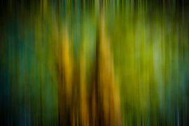 Baum abstrakt von Dieter Walther