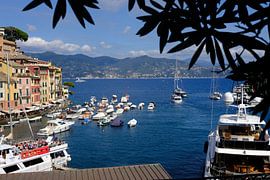 Hafen von Portofino von Keywan Salehi