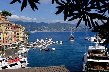 Portofino harbour by Keywan Salehi