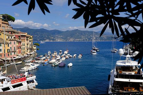 Haven van Portofino
