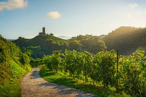 Prosecco-Hügel, Weinberge, Landstraße und Kirche San Lorenzo