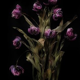 Blumenstrauß aus schön getrockneten Blumen von Karel Ham