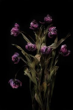 Bouquet of beautifully dried flowers by Karel Ham