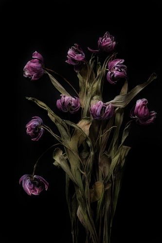 Blumenstrauß aus schön getrockneten Blumen von Karel Ham