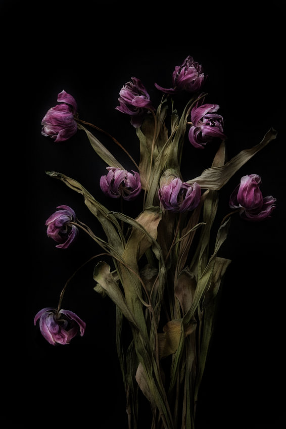 Boeket met prachtig gedroogde bloemen van <span class="secondary-font">Karel Ham</span>