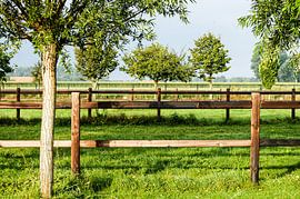 The west dike