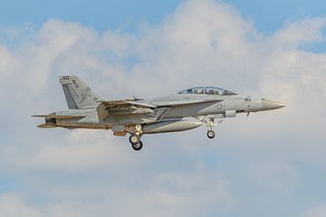 F/A-18F Super Hornet van VFA-11 Red Rippers. van Jaap van den Berg