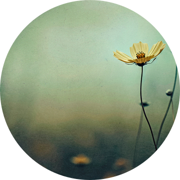 Nostalgische natuur nr. 8