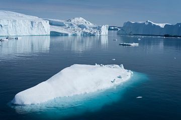 Magic of ice van Ralph Rozema