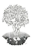 Genealogie