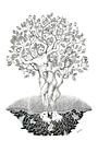 Genealogie van Carmen-Ghizela Todita thumbnail