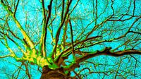 VanG tree