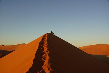 Dune 45 by Nico  Calandra