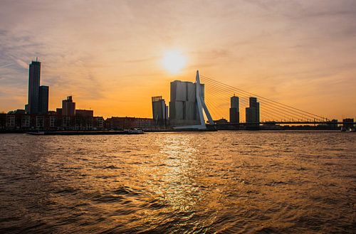 Erasmusbrug Rotterdam avondlicht.