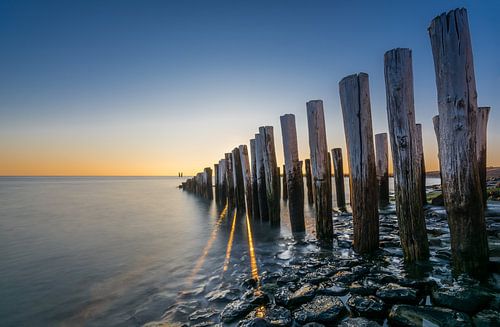 Drie kleine zonnestralen