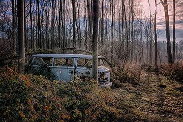 VW Bus Lost in the Woods van Maikel Brands