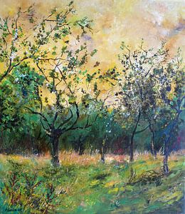Orchard in spring 78 von pol ledent