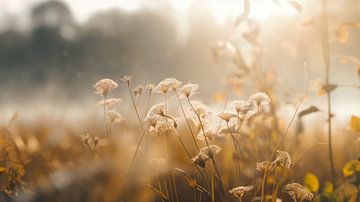 Golden Hour bloessem van ByNoukk