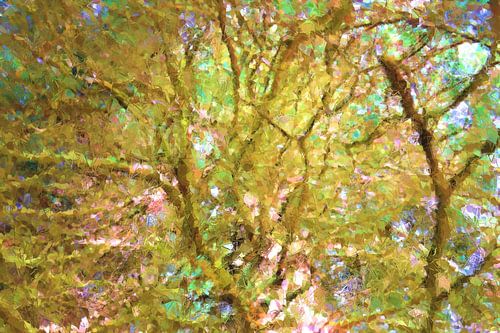 Baumzweige voller Scherben