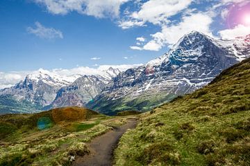 Zwitserse Alpen, bergen oa de Eiger