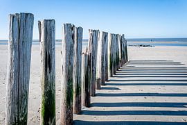 Pfostenreihe von BeeldWoord