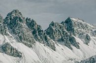 Montagnes enneigées dans les Alpes par Sophia Eerden Aperçu
