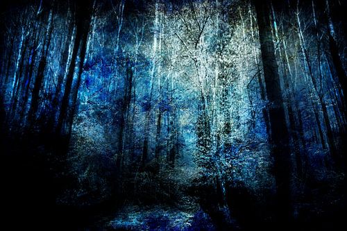 Aan het eind van een bos #05