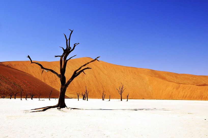 Desert In Namibia by Walljar