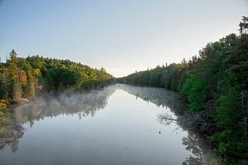 Mistige reflecties Canada van Vivo Fotografie