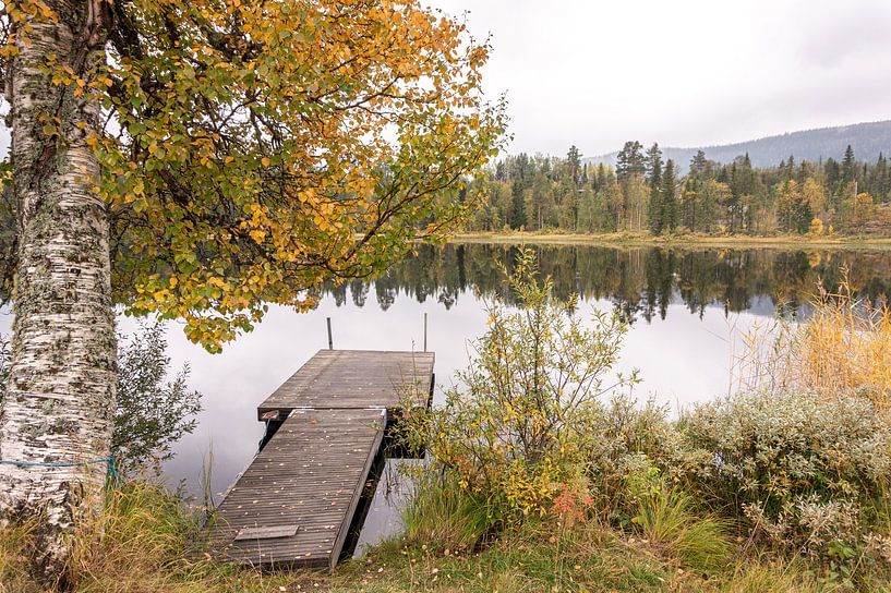 Landing stage in Lofsdalen, Sweden by Lynn Haverhals