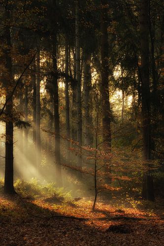 Herfst